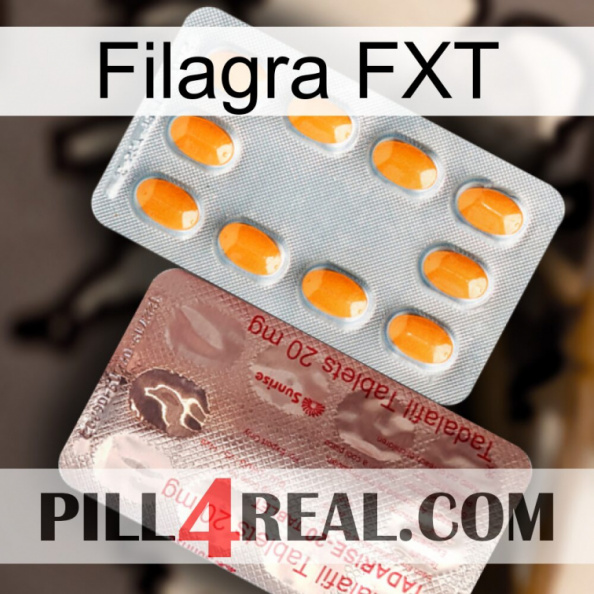 Filagra FXT new13.jpg